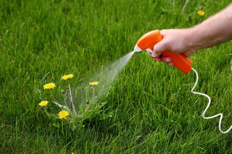 Crabgrass Removal in Aiken, SC