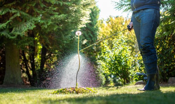 Weed Spraying