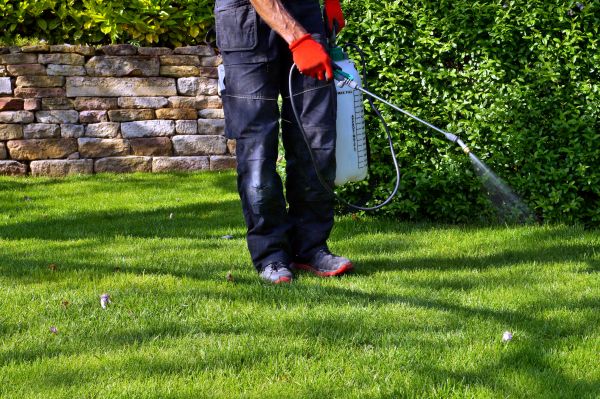 Yard Spraying