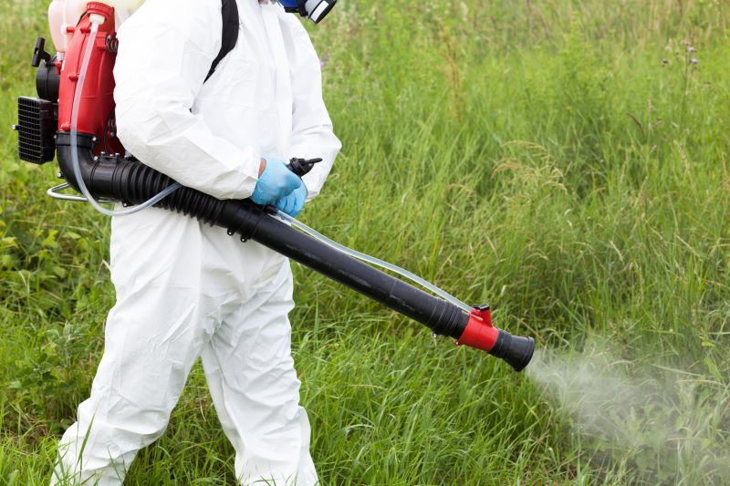 Crabgrass Removal in Ventura County, CA