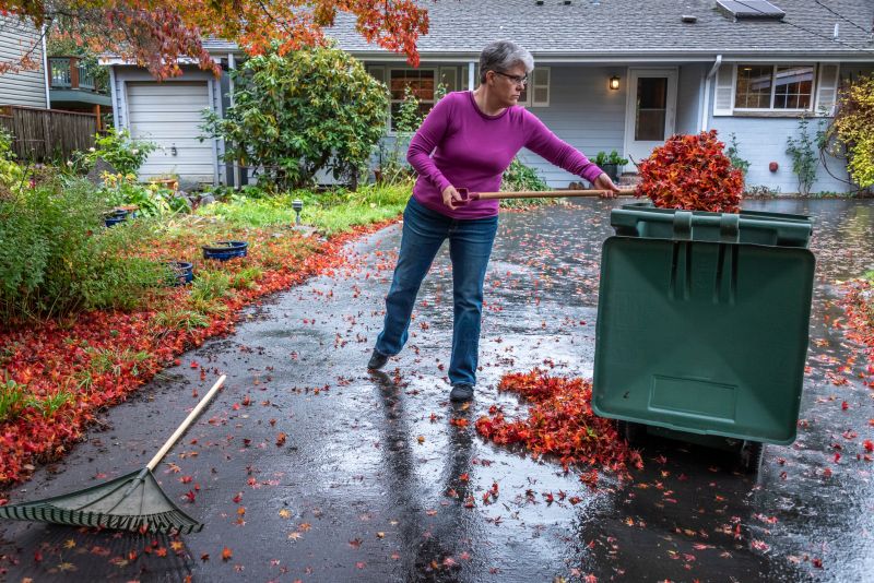 Autumn Yard Cleanup