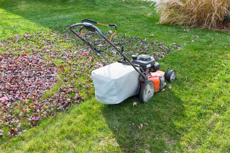 Seasonal Lawn Preparation