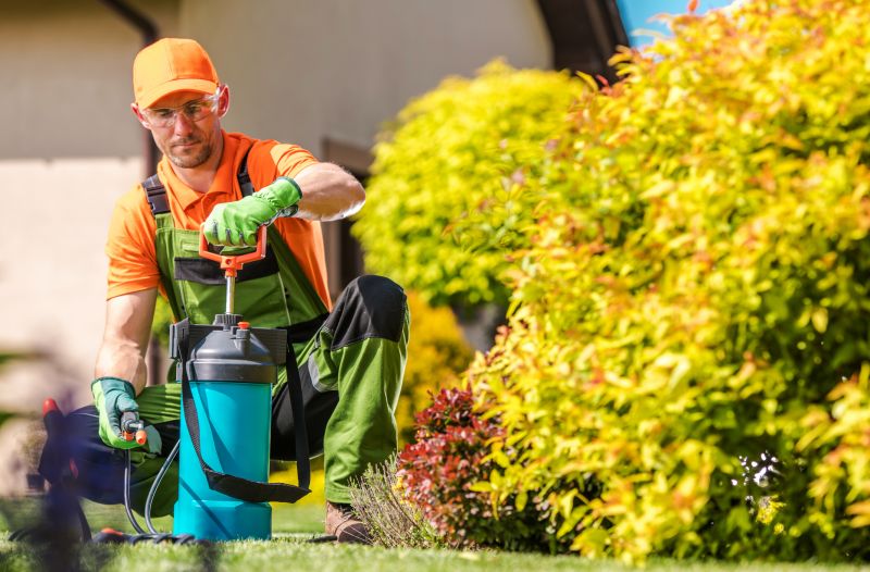 Fall Lawn Fertilizing in Ventura County, CA