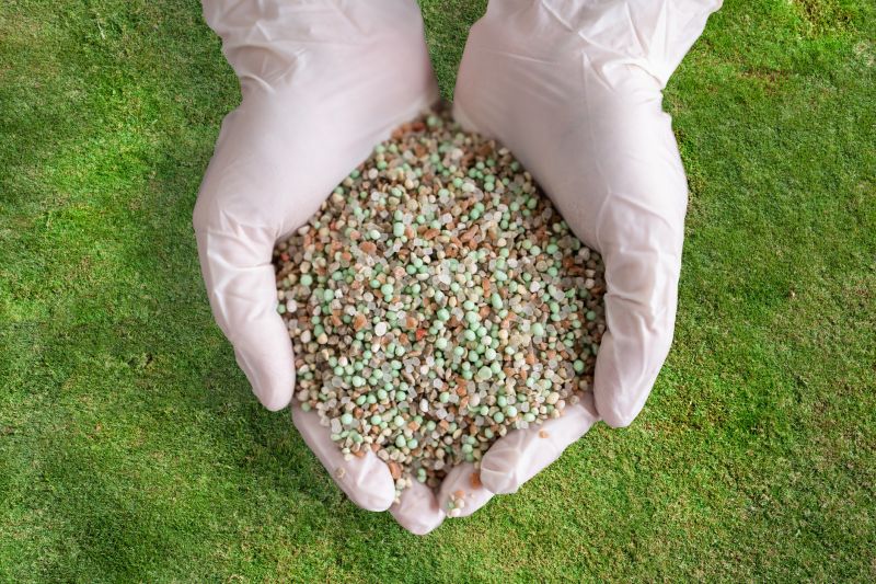 Fall Lawn Fertilizing in Honolulu, HI
