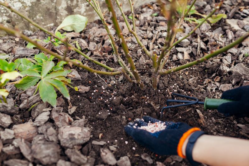 Landscape Fertilizing Service in Honolulu, HI