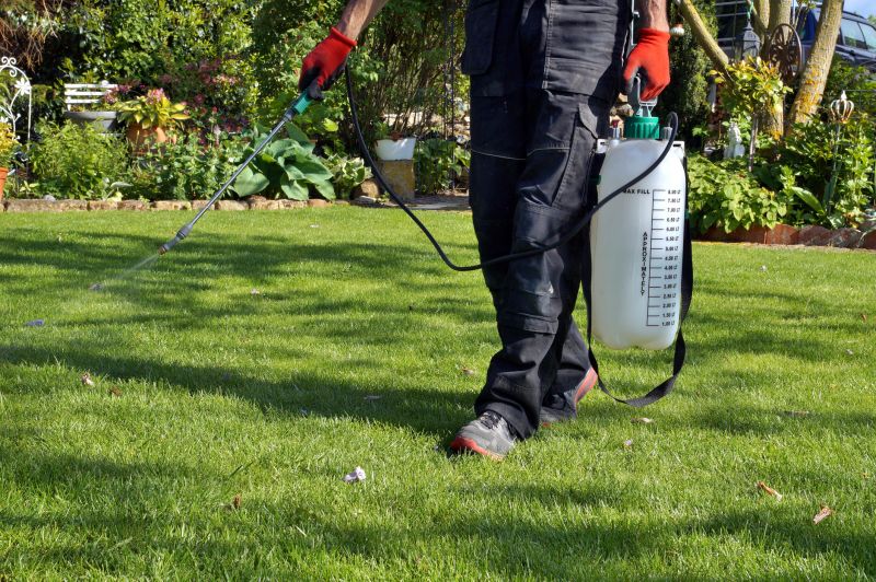 Lawn Enrichment in Honolulu, HI