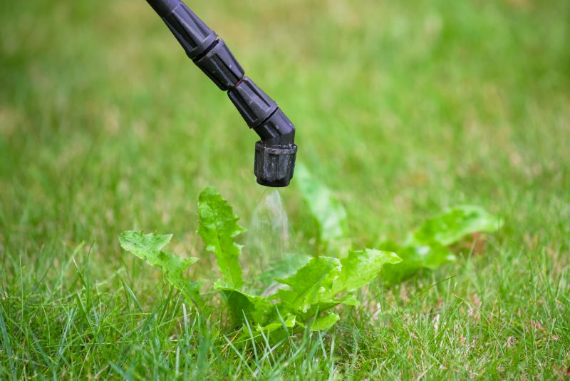 Lawn Spraying in Rockwall, TX