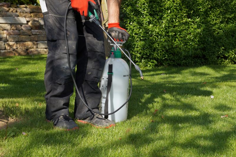 Lawn Weed Control in Aiken, SC