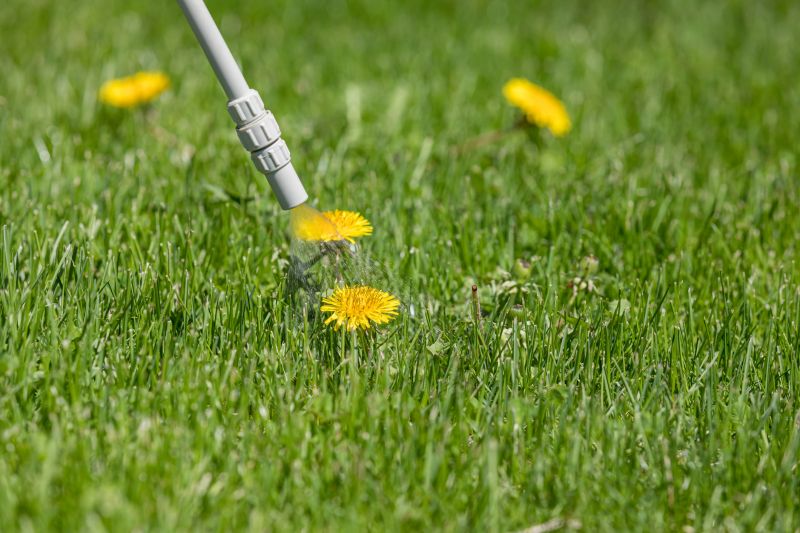 Lawn Weed Control in Honolulu, HI