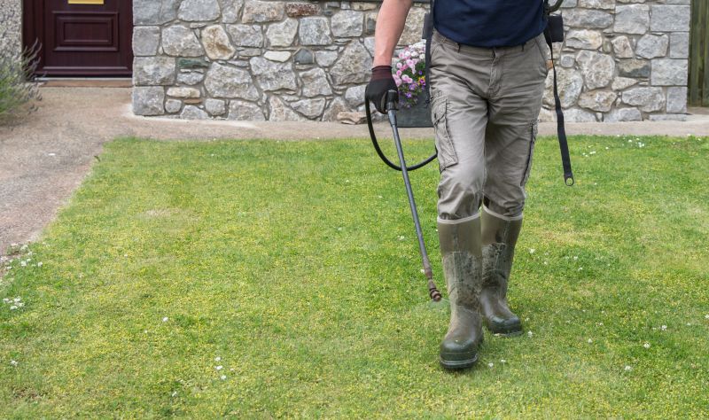 Lawn Weed Spraying in Aiken, SC