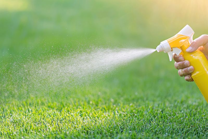 Lawn Weed Treatment in Ventura County, CA