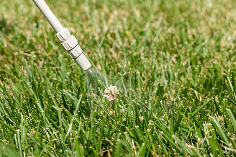 Lawn Weed Treatment in Ventura County, CA