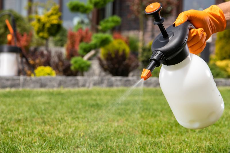 Mushroom Removal Service in Ventura County, CA