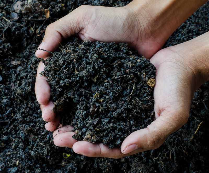 Soil Topdressing in Honolulu, HI