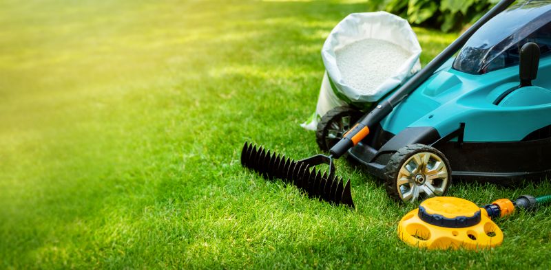 Yard Improvement Service in Honolulu, HI
